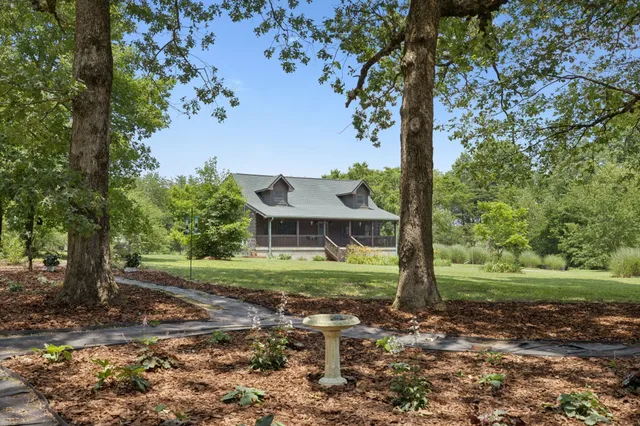 a view of a yard with a tree