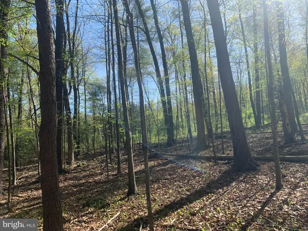 $345,000 | 105 Water Street, Cassville, PA 16623