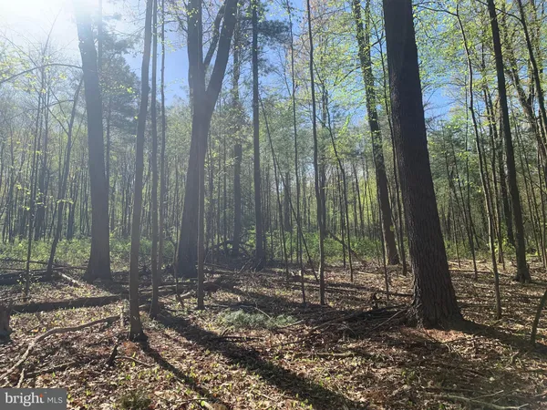 $345,000 | 105 Water Street, Cassville, PA 16623