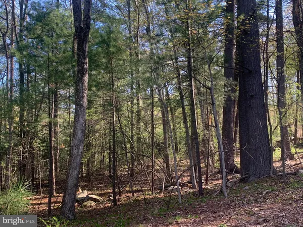 $345,000 | 105 Water Street, Cassville, PA 16623