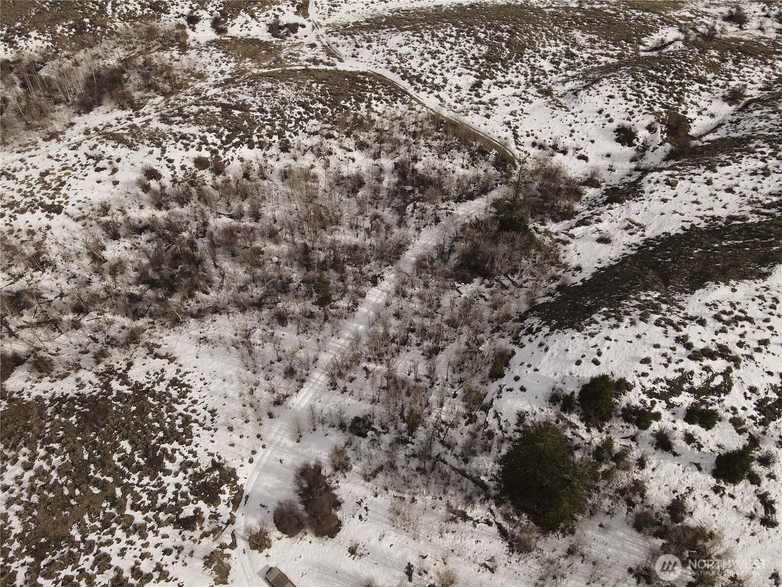 -xx Ellemeham Mountain Road Loomis, WA 98827 - Photo 7 of 12 a view of a covered with snow