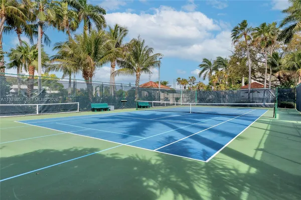 a view of a tennis ground with palm trees