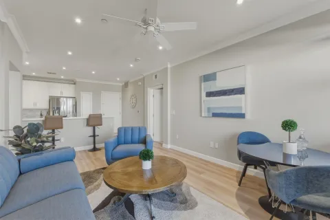 a living room with furniture and a potted plant
