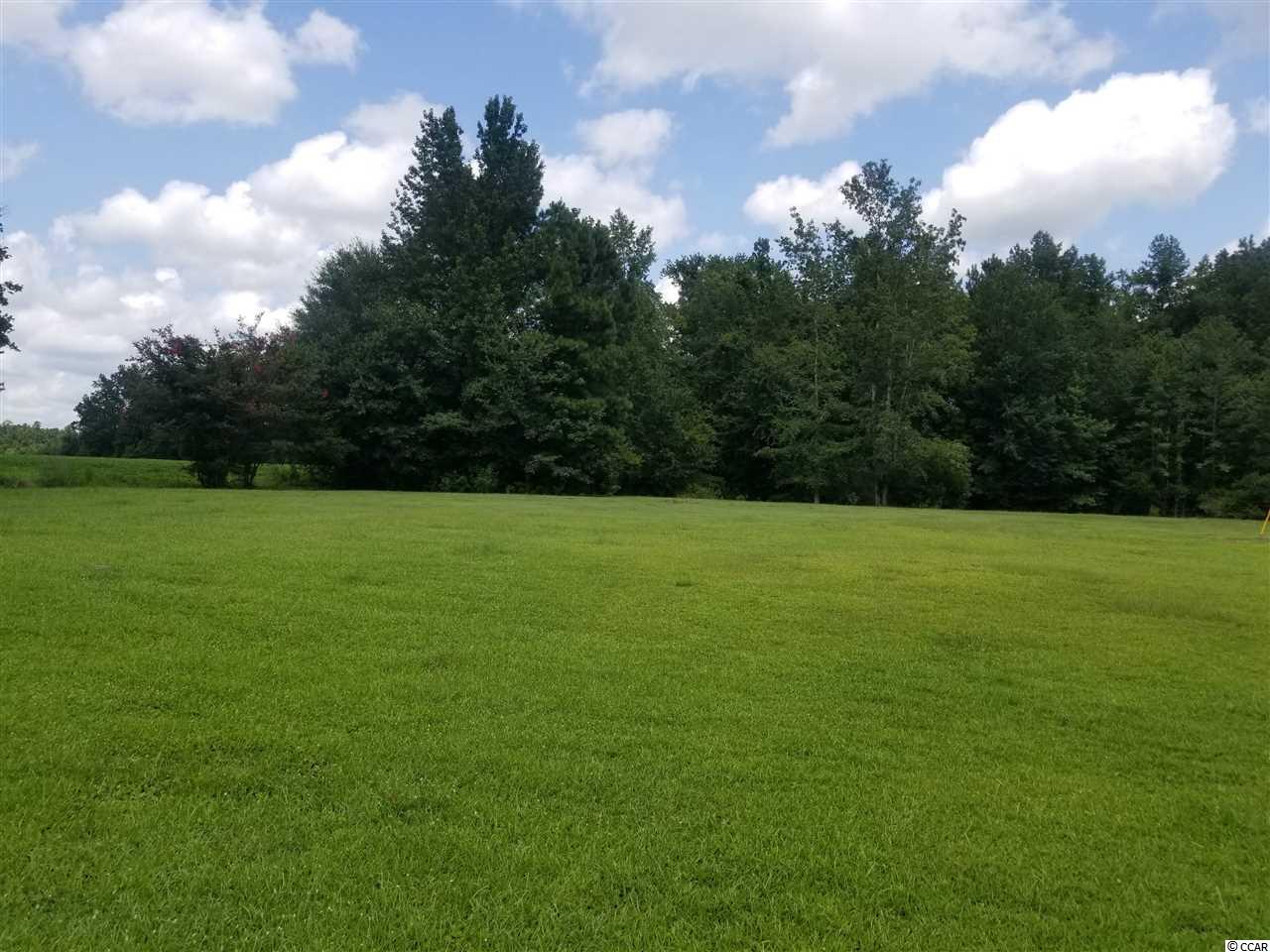 964 Mt Olive Church Road Nichols, SC 29581 - Photo 19 of 20 Gallery Image 19