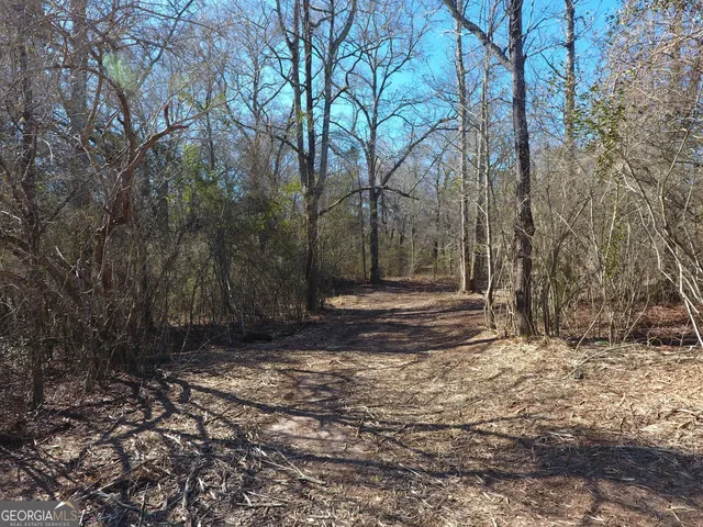 $975,000 | 1015 North Walker's Mill Road, Griffin, GA 30223