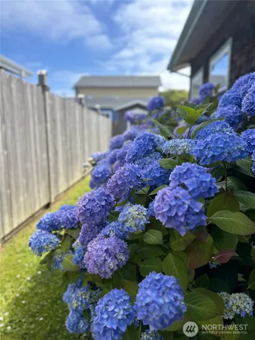 a bunch of flowers are in a garden