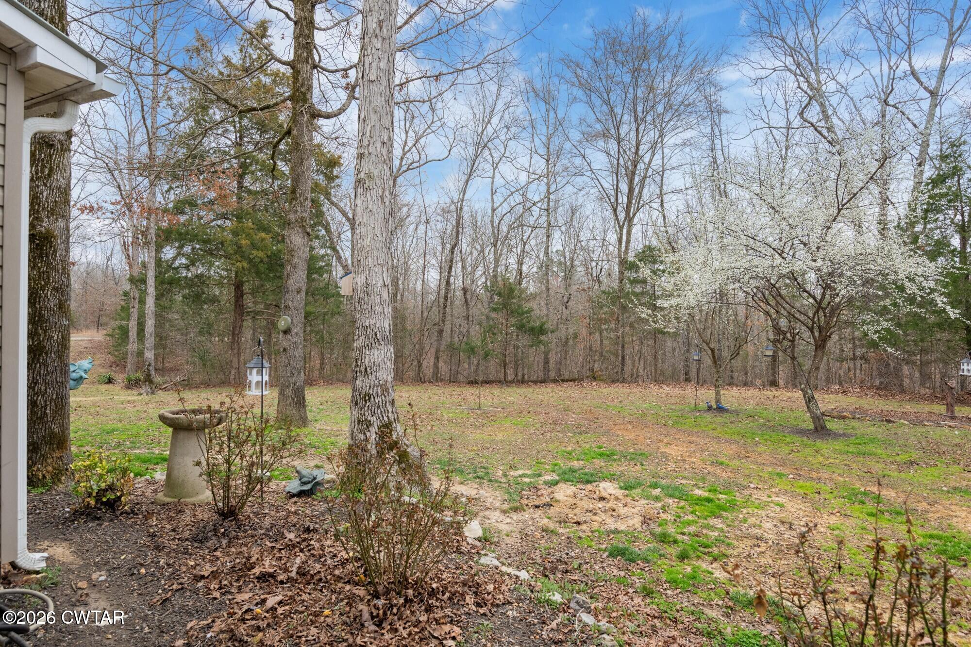 2108 Bohannon Landing Road Sugar Tree, TN 38380 - Photo 32 of 57 a view of a yard with a tree