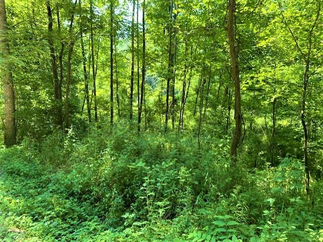2389 Trace Branch Road Livingston, KY 40445 - Photo 14 of 23 14