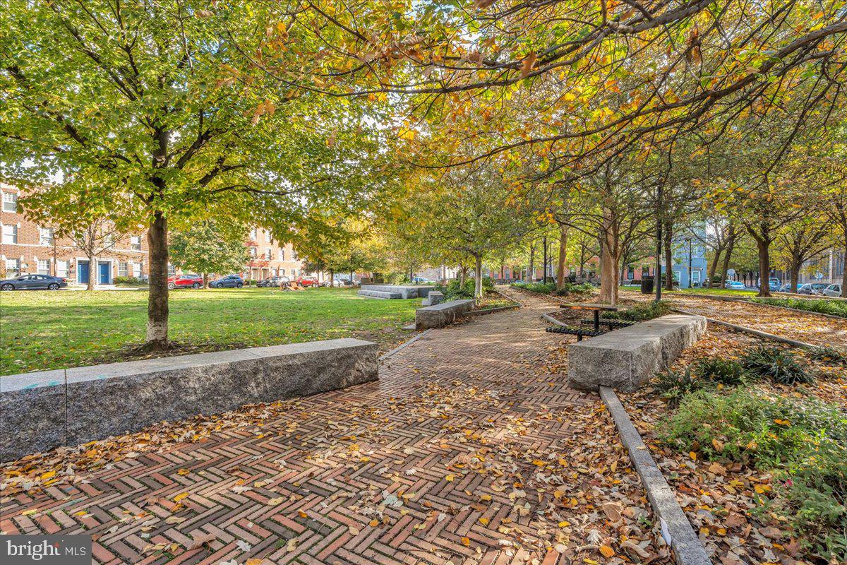 1227 Clymer Street Philadelphia, PA 19147 - Photo 37 of 37 a view of road with tree