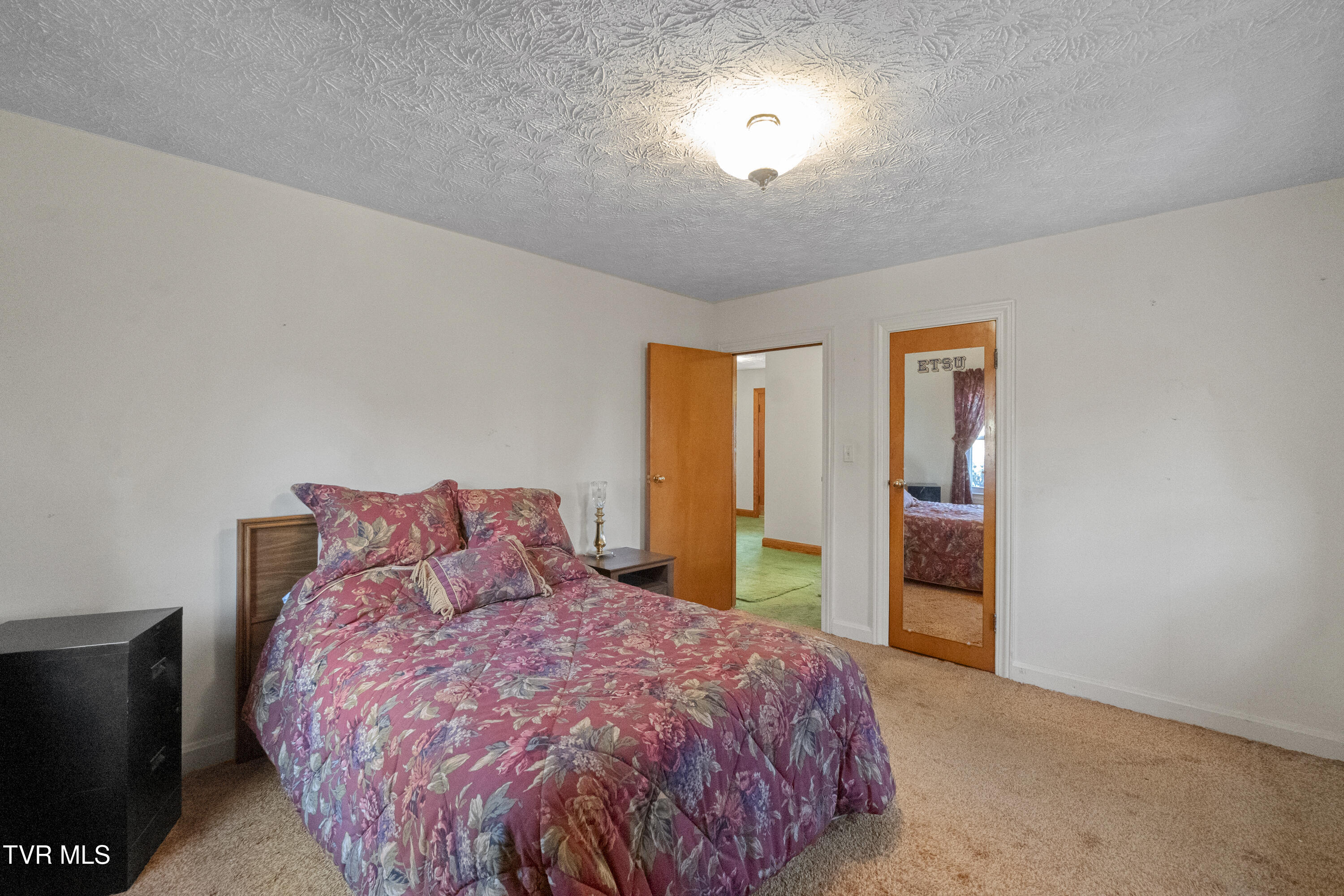 285 Greystone Road Greeneville, TN 37743 - Photo 18 of 63 16