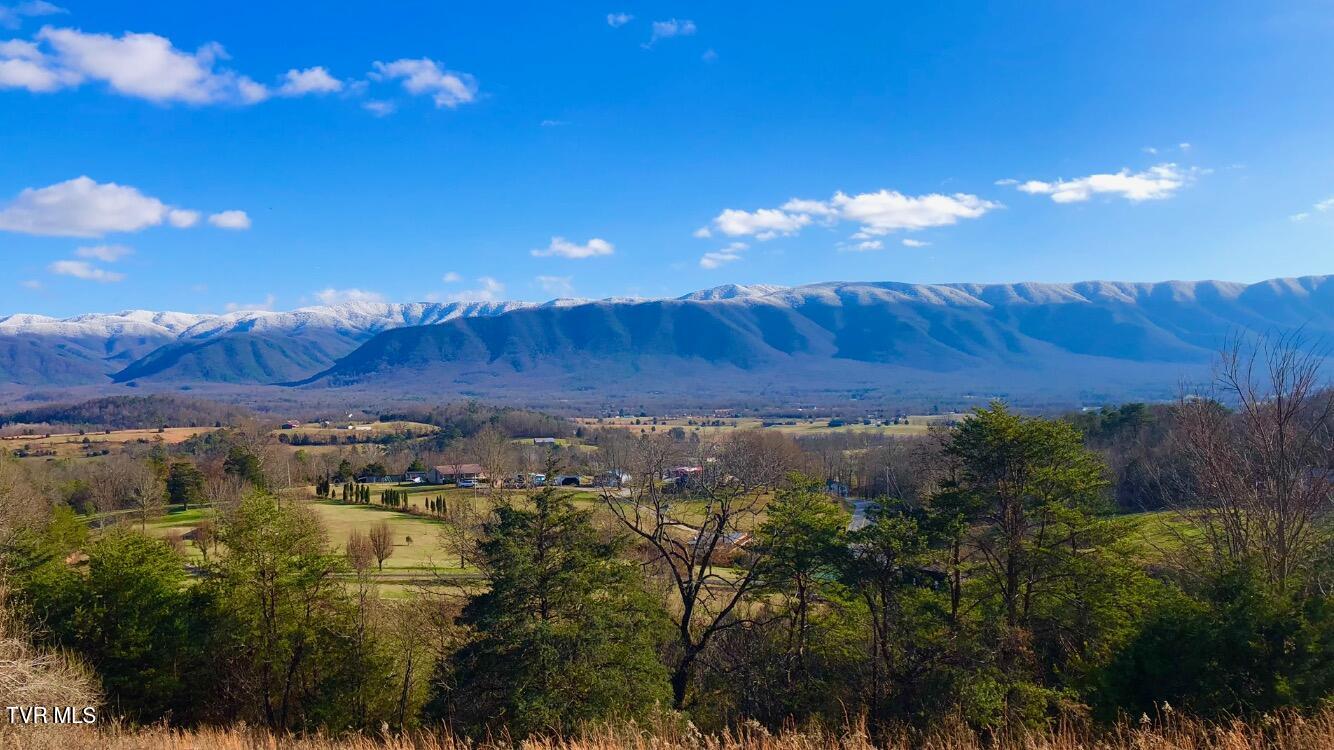 285 Greystone Road Greeneville, TN 37743 - Photo 2 of 63 IMG_1408