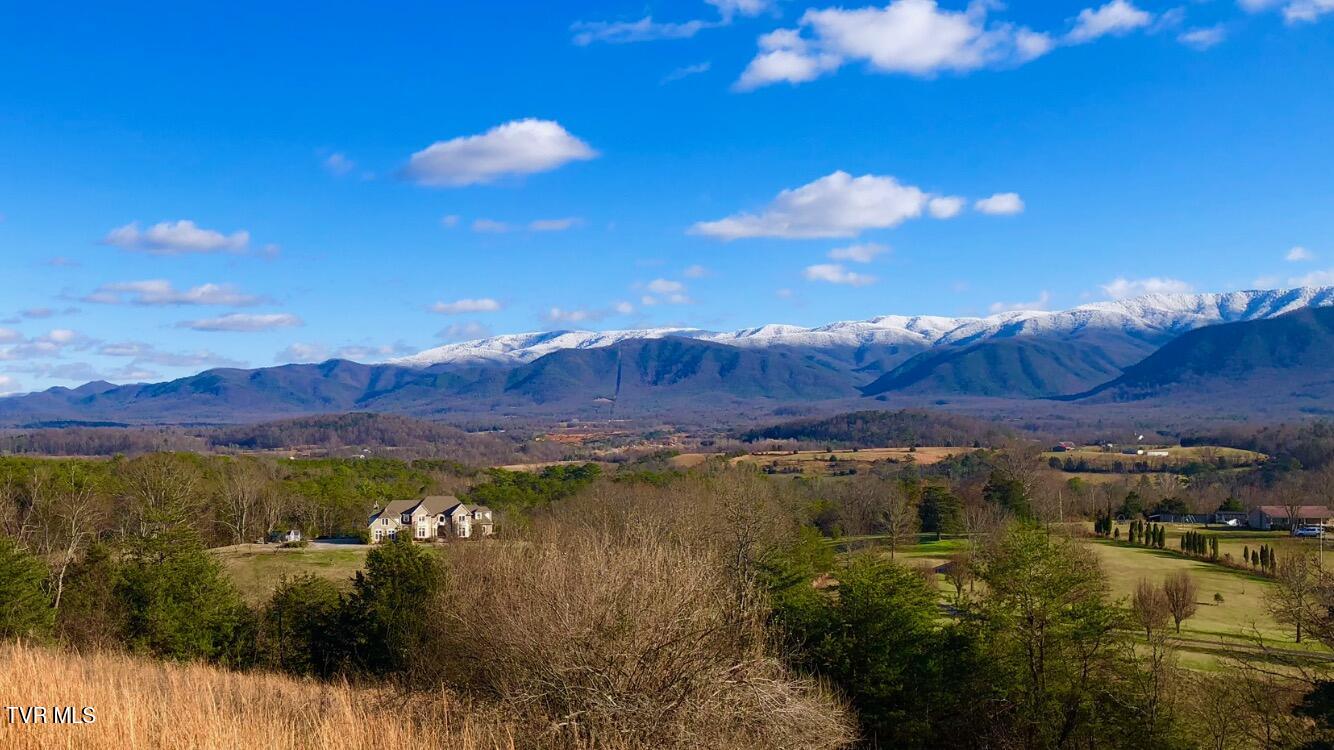 285 Greystone Road Greeneville, TN 37743 - Photo 45 of 63 IMG_1406