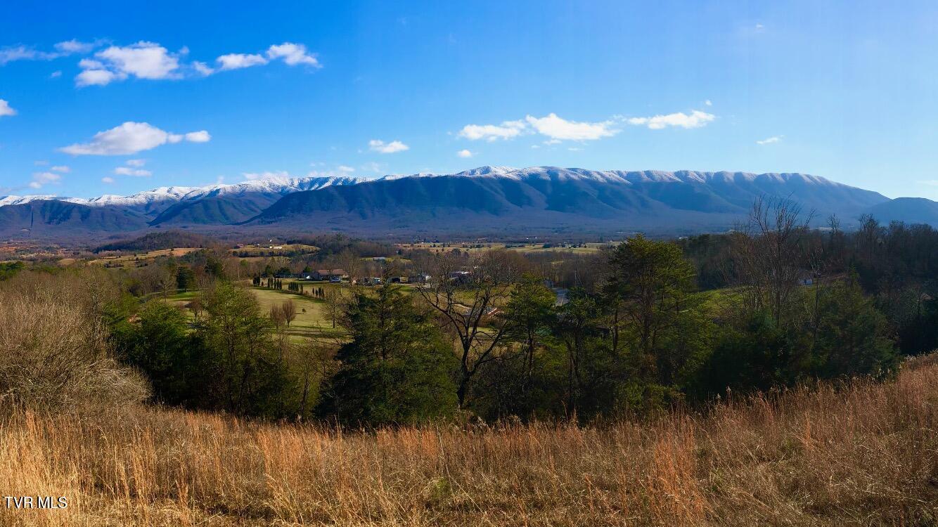 285 Greystone Road Greeneville, TN 37743 - Photo 46 of 63 IMG_1410