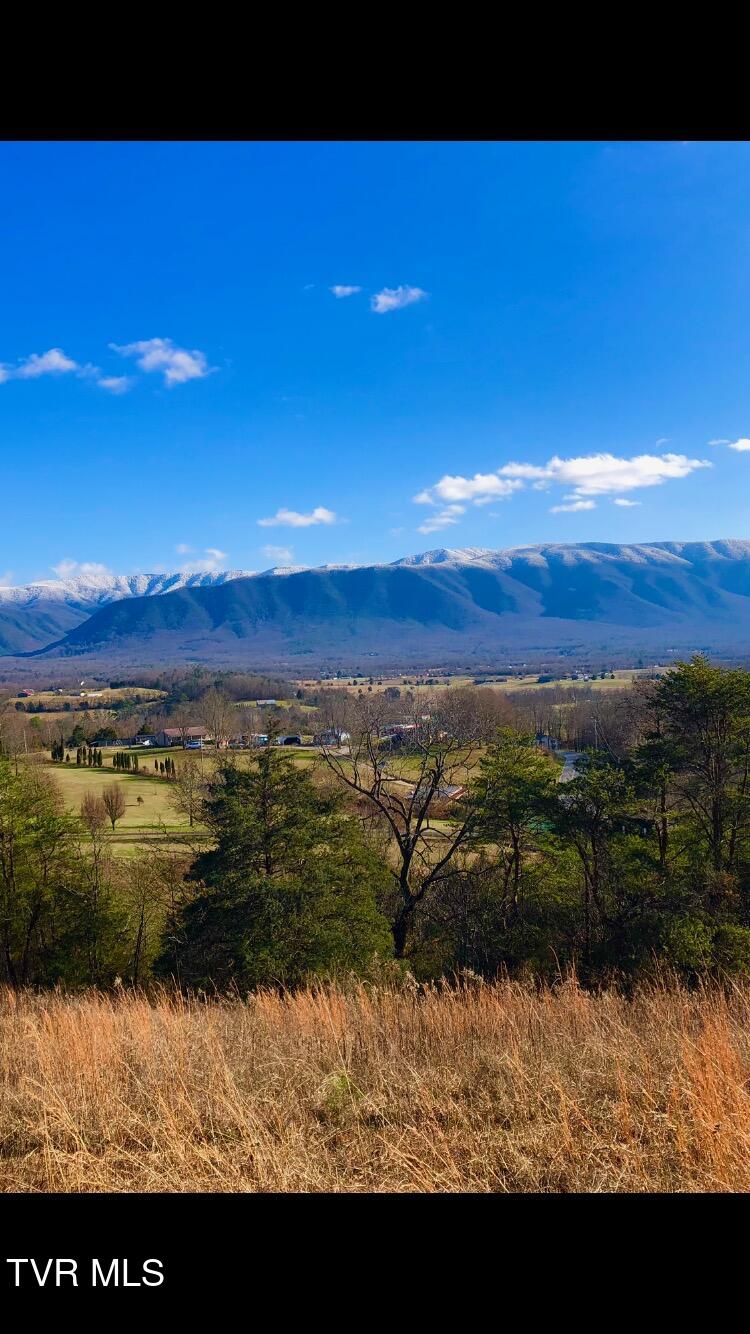 285 Greystone Road Greeneville, TN 37743 - Photo 47 of 63 IMG_1407