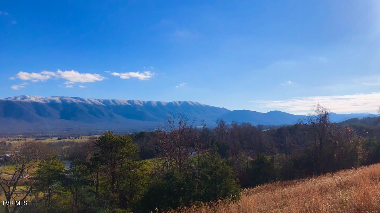 285 Greystone Road Greeneville, TN 37743 - Photo 48 of 63 IMG_1409