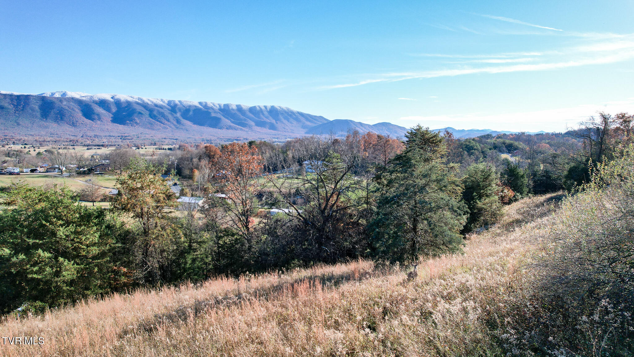 285 Greystone Road Greeneville, TN 37743 - Photo 54 of 63 52