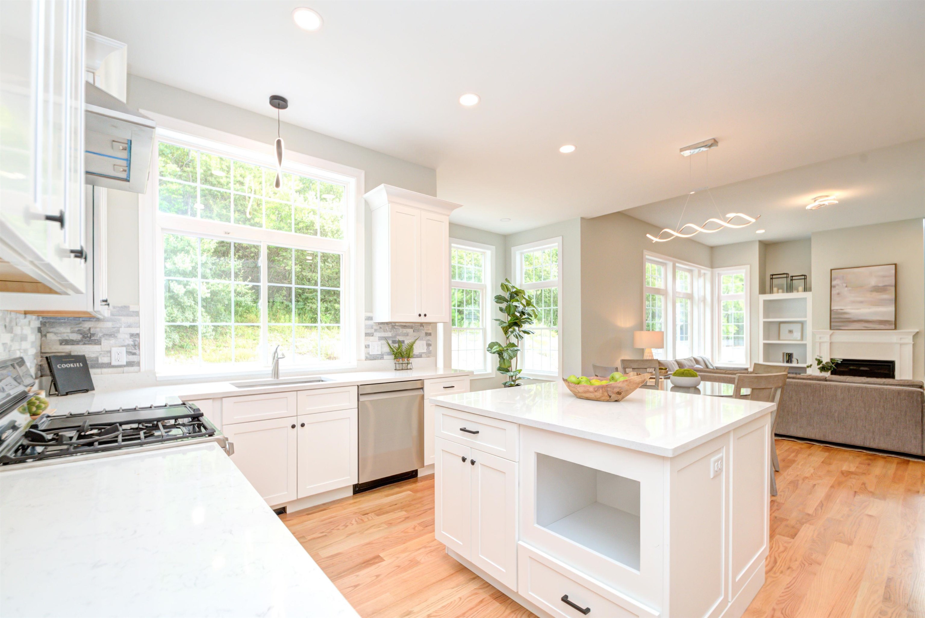 16 Nirvana Drive Salem, NH 03079 - Photo 3 of 36