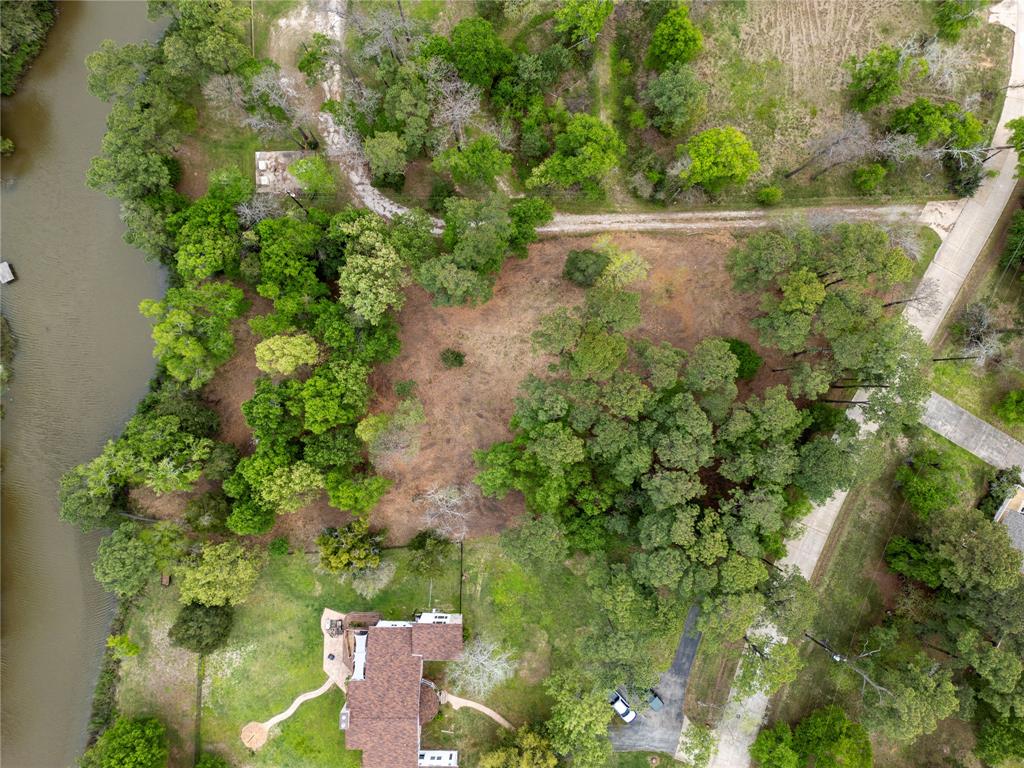an aerial view of a green yard with large trees
