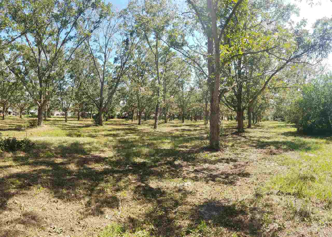 0 West Peachtree Avenue Foley, AL 36535 - Photo 2 of 9
