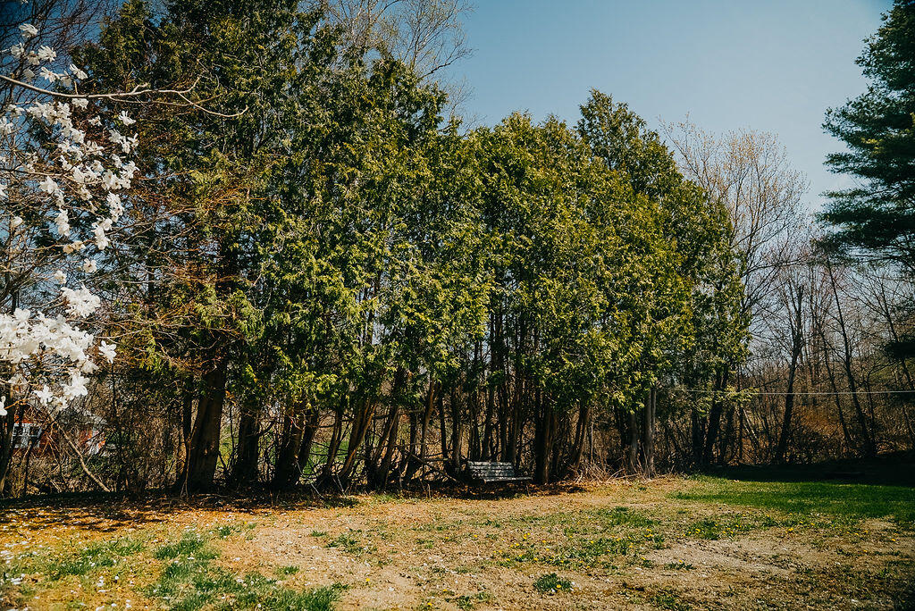1083 River Road Bucksport, ME 04416 - Photo 47 of 56