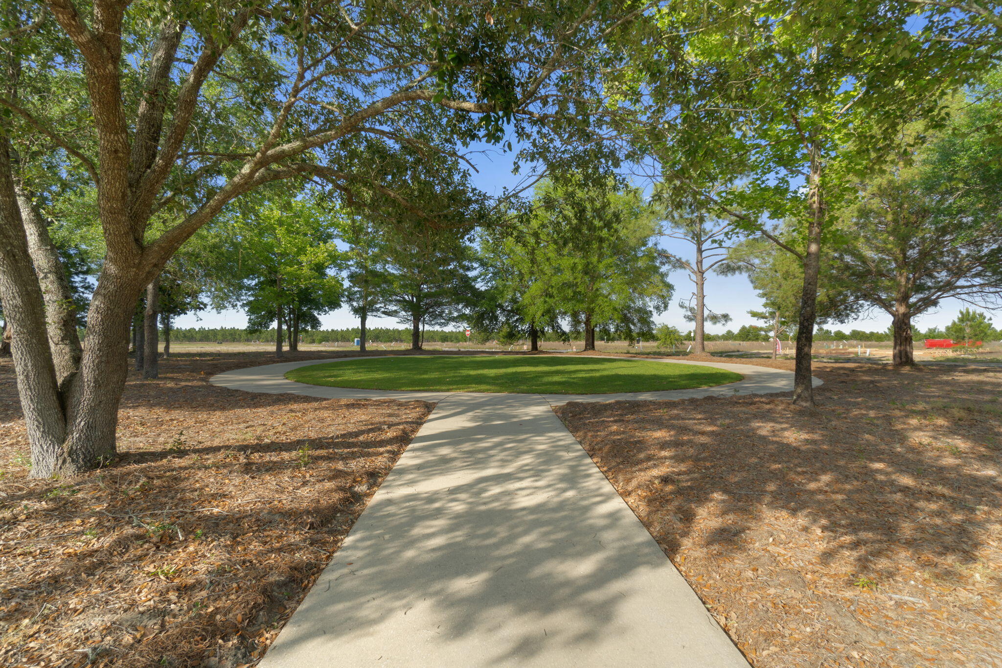 195 Sweetclover Street Freeport, FL 32439 - Photo 14 of 19 a view of a tree in a park