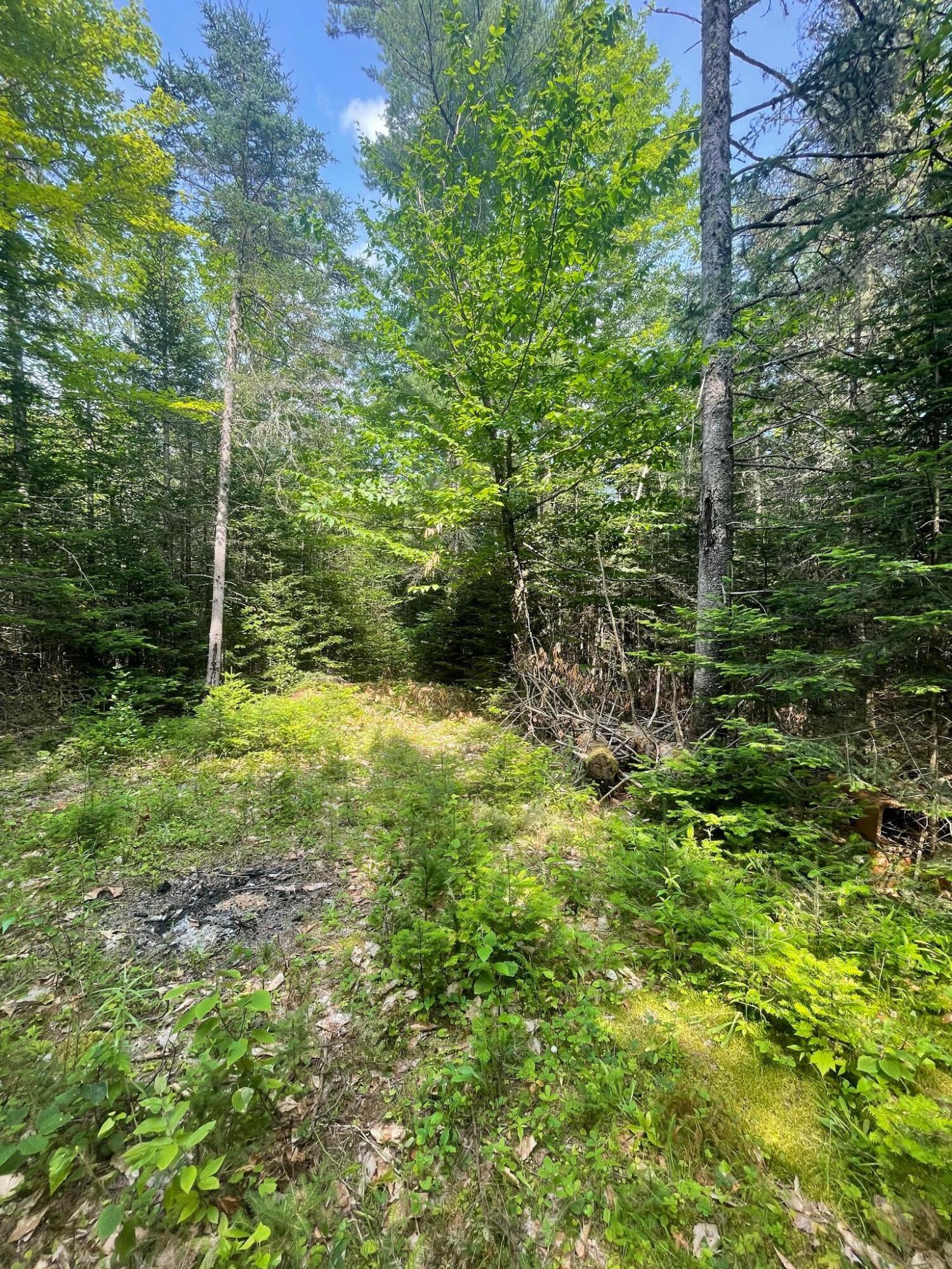 Tbd Tbd Greenfield Road Greenbush, ME 04418 - Photo 9 of 9 322355863_267188116000862_82647524531225