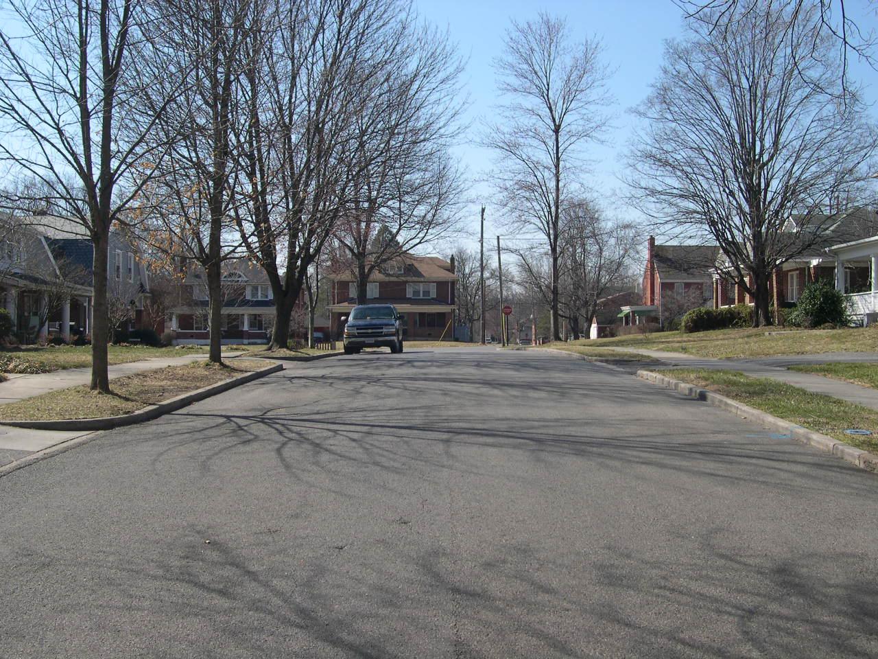 1944 Belleville Road Southwest Roanoke, VA 24015 - Photo 14 of 15 Tree Lined Street