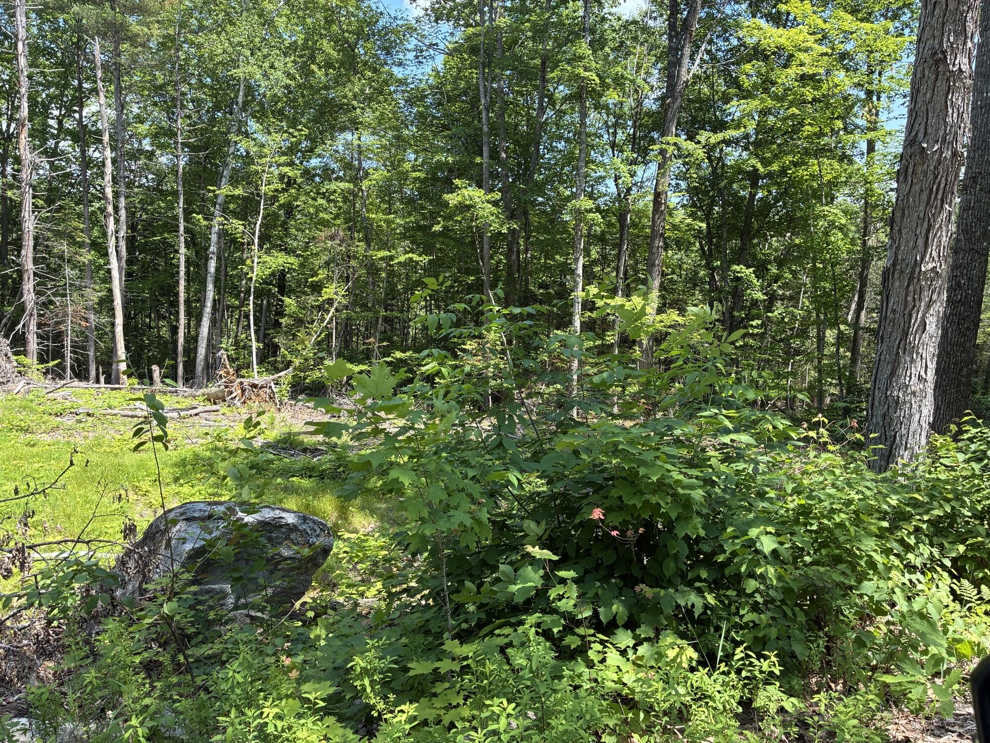 Map7-lot40 Round-The-Pond Road Norway, ME 04268 - Photo 6 of 6 IMG_2072