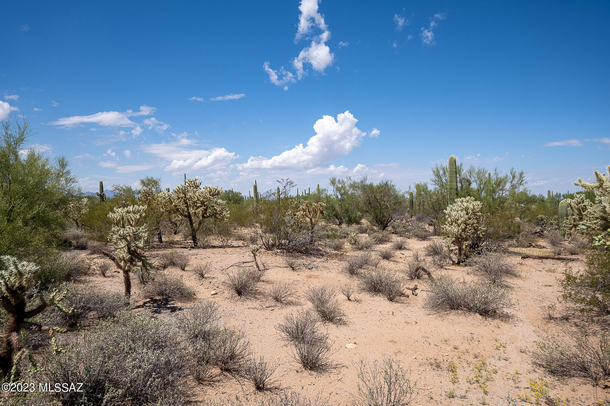 11700 West Rudasill Road, Unit LOT 2 Tucson, AZ 85743 - Photo 16 of 20 Gallery Image 16