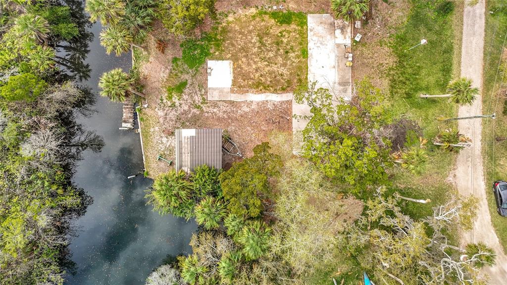 5362 Felker Drive Weeki Wachee, FL 34607 - Photo 17 of 21 a plant that is in front of flowers