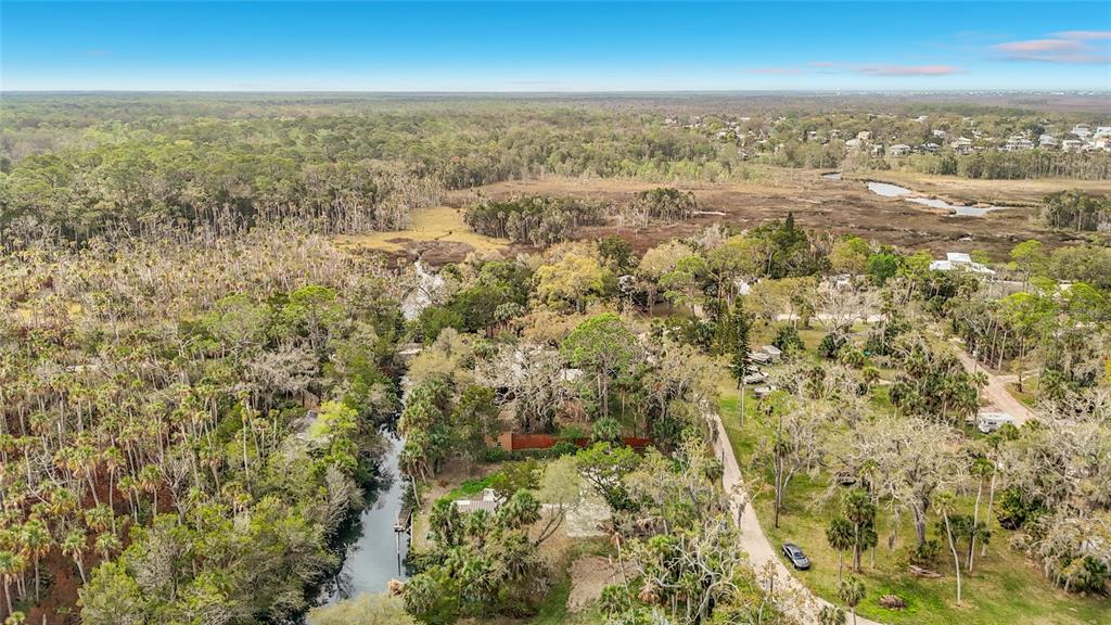5362 Felker Drive Weeki Wachee, FL 34607 - Photo 8 of 21 an aerial view of residential houses with outdoor space