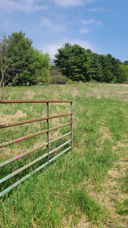0 Pheasant Run Road Howell, MI 48843 - Photo 2 of 3