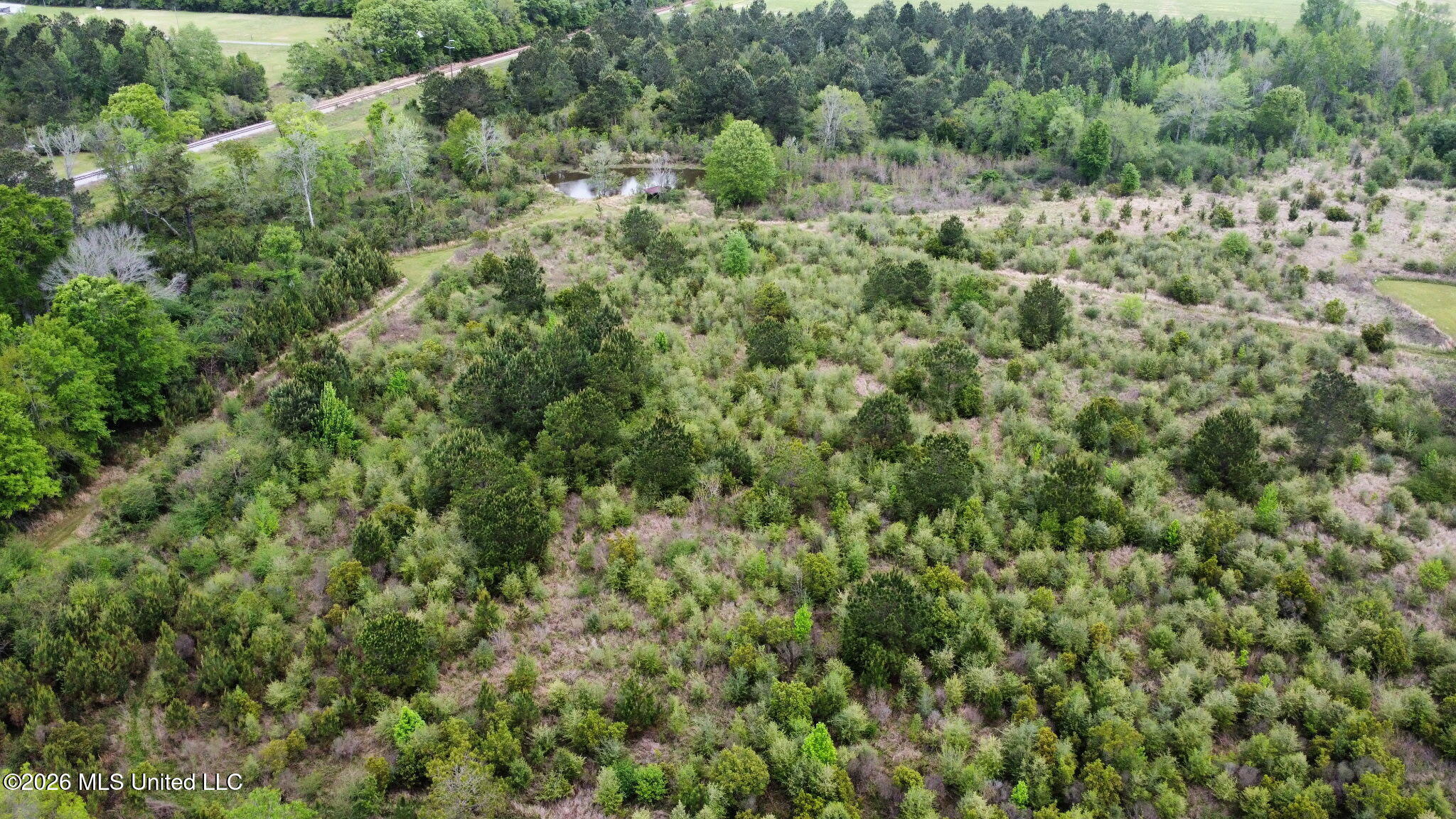 6211 Wesley Powell Road Lucedale, MS 39452 - Photo 7 of 17 IMG_20260407_145434