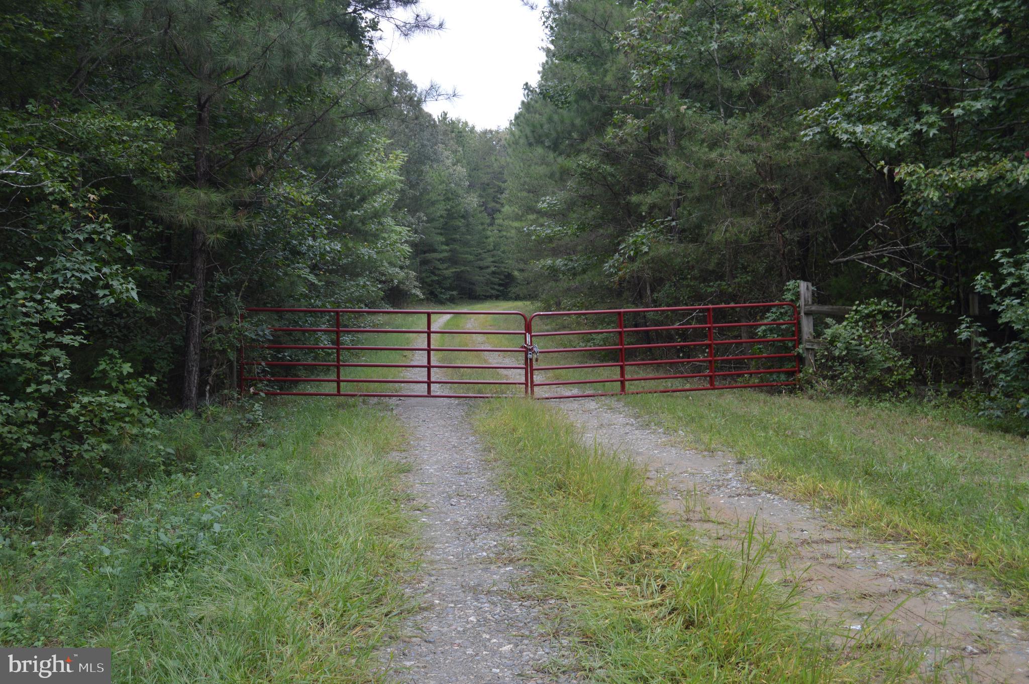 17381 Passing Road Milford, VA 22514 - Photo 1 of 16 Main