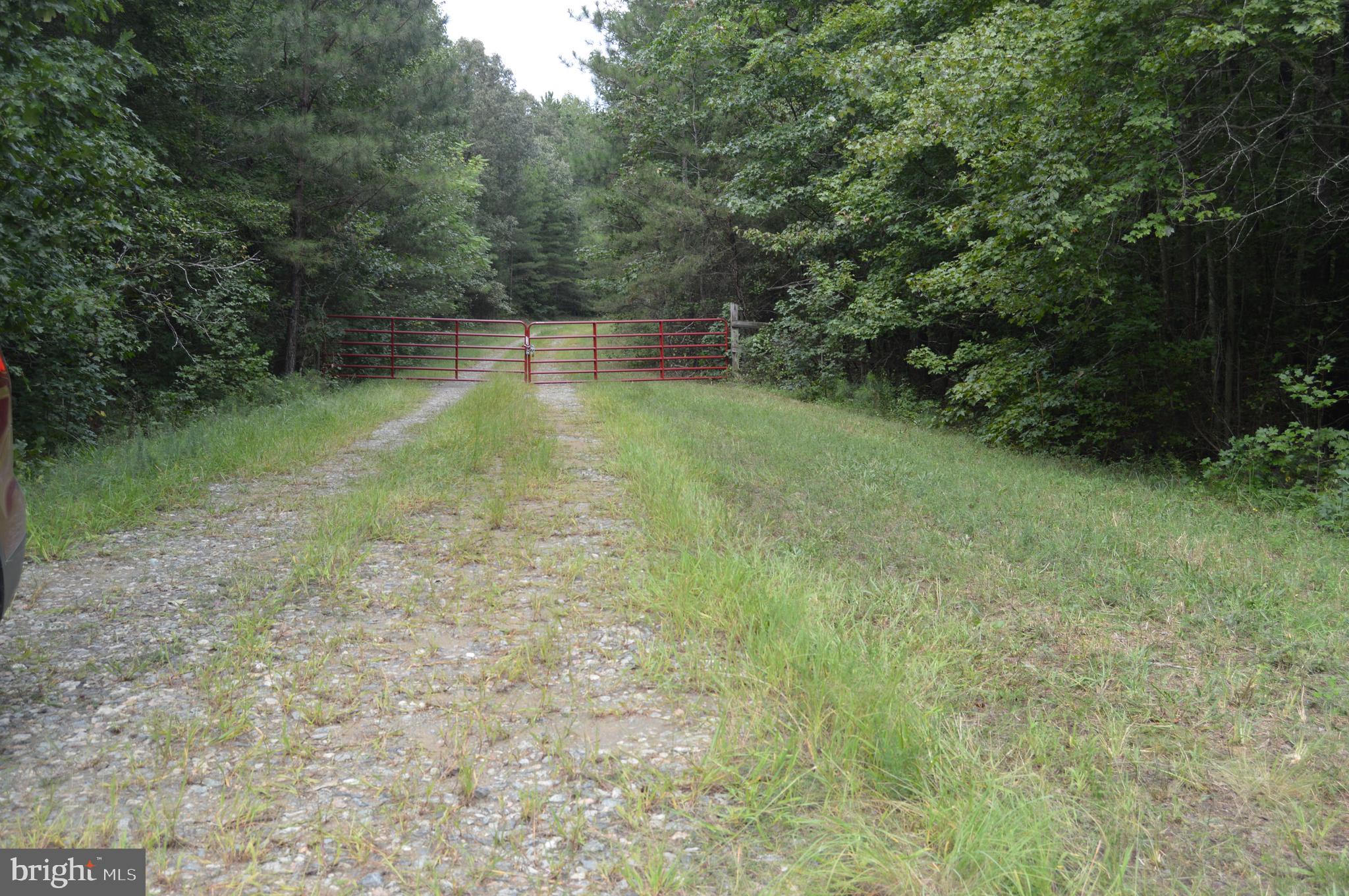 17381 Passing Road Milford, VA 22514 - Photo 2 of 16 Gallery Image 2
