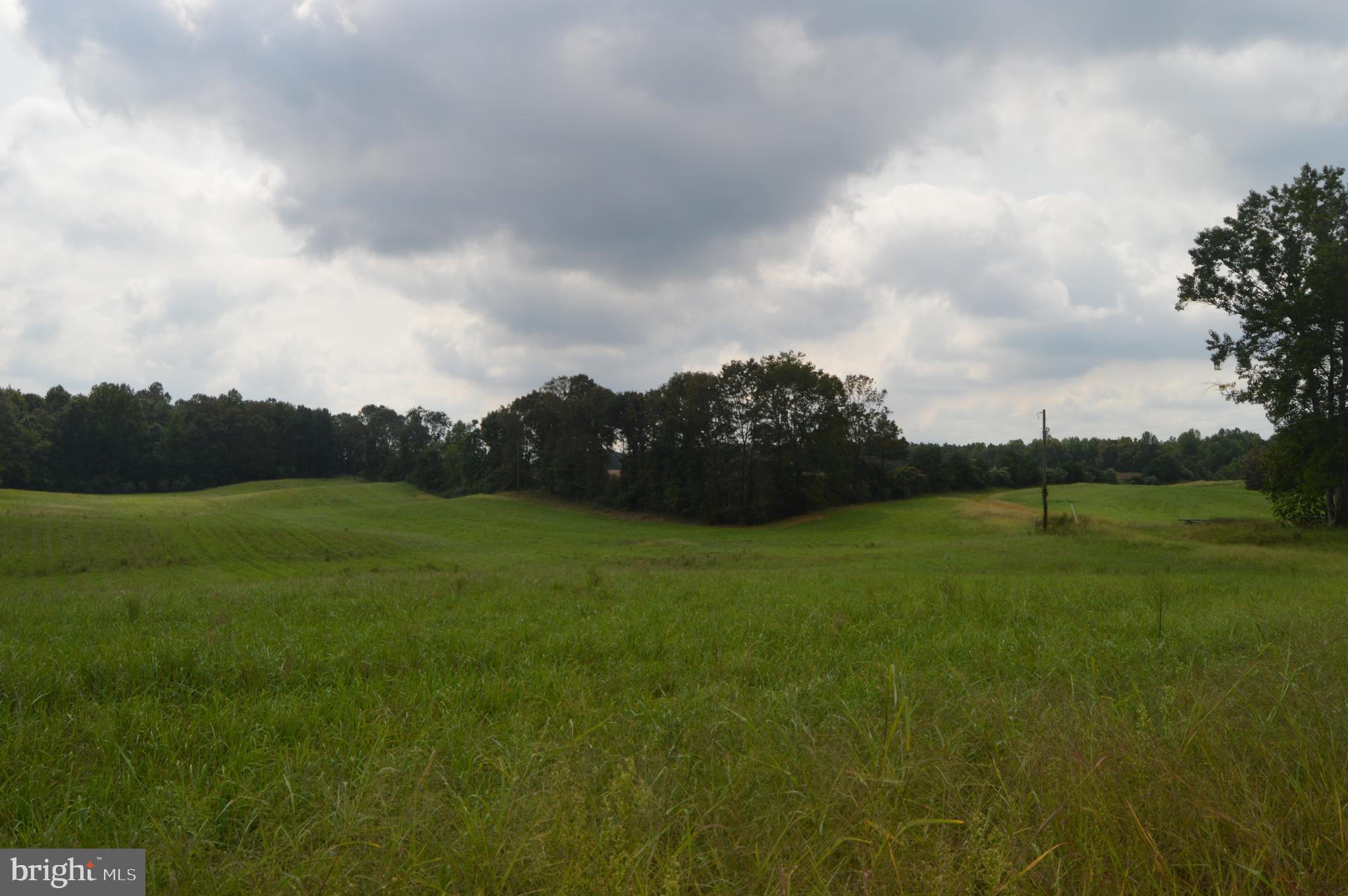 17381 Passing Road Milford, VA 22514 - Photo 3 of 16 Gallery Image 3