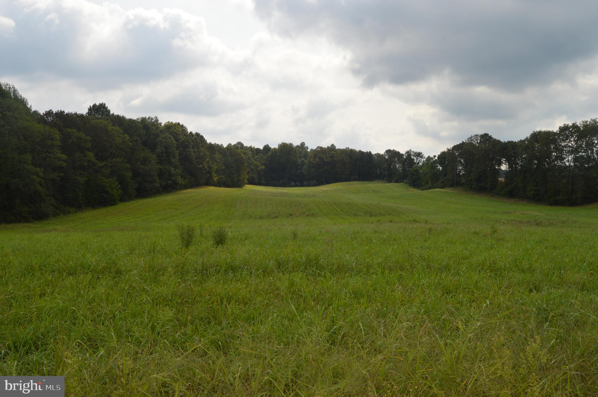 17381 Passing Road Milford, VA 22514 - Photo 4 of 16 Gallery Image 4