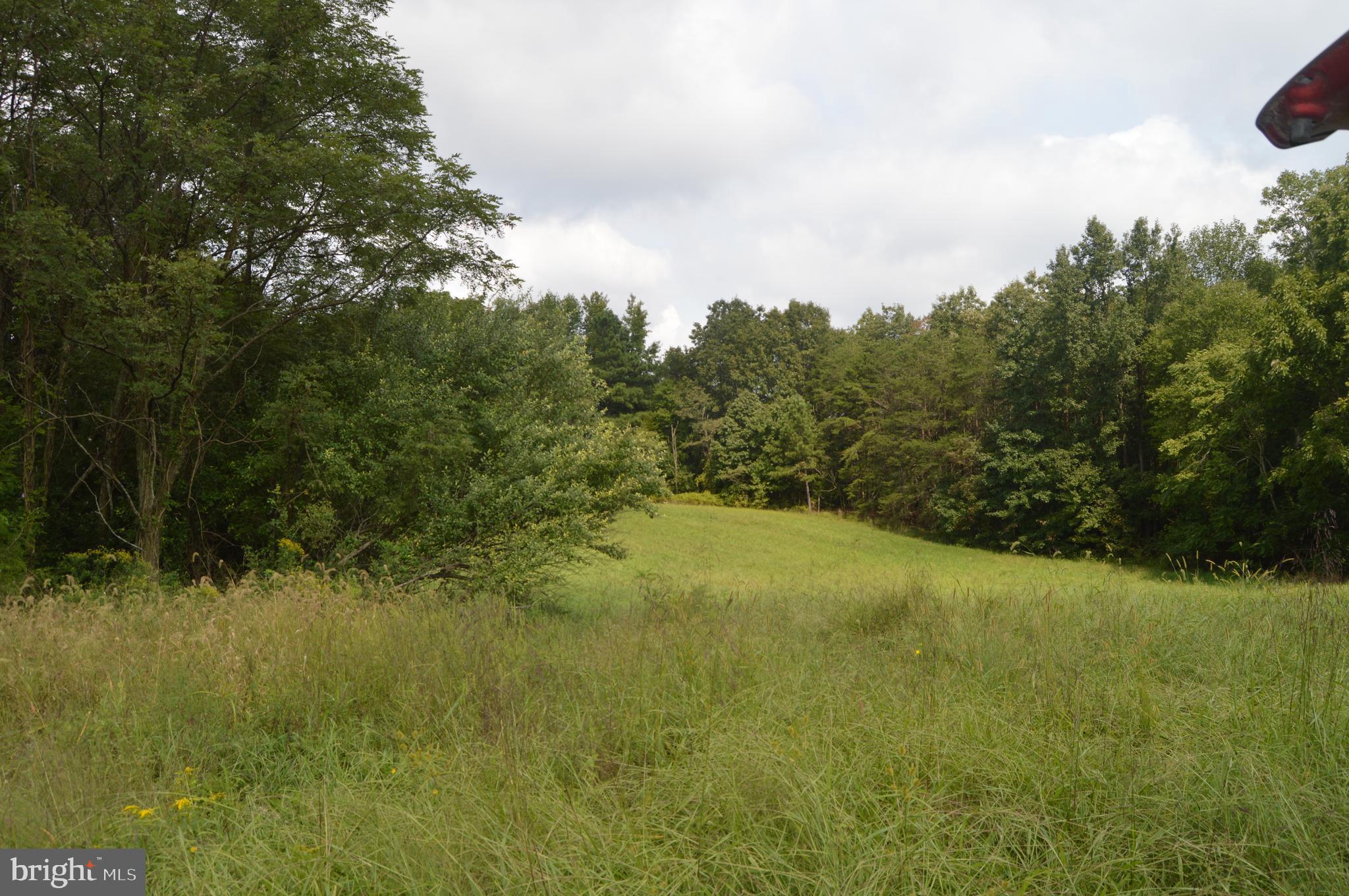 17381 Passing Road Milford, VA 22514 - Photo 9 of 16 Gallery Image 9