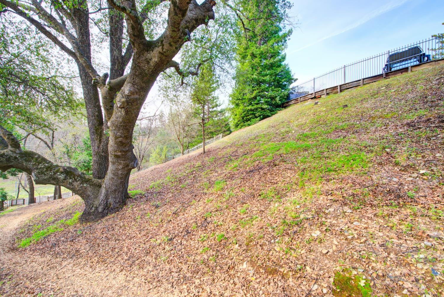 2812 Bronzecrest Street Placerville, CA 95667 - Photo 65 of 74 a view of a yard with plants and trees