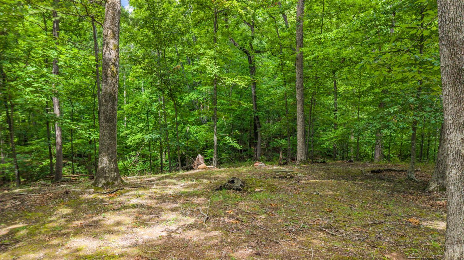 971 Rothowood Road Lynchburg, VA 24503 - Photo 51 of 52