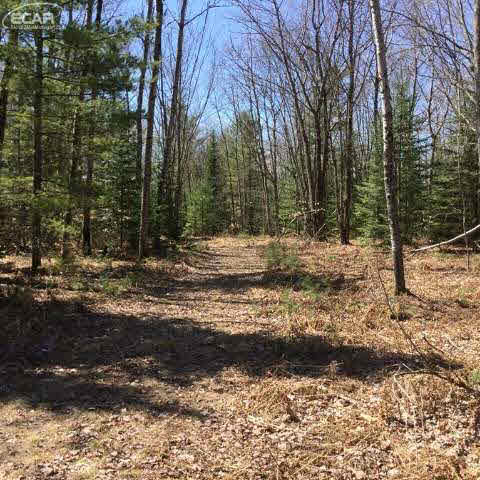 5281 Inman Road Southwest South Boardman, MI 49680 - Photo 52 of 92 20437574-51.JPG