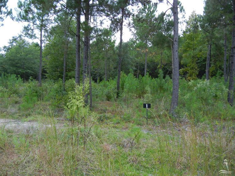 885 Village Point Road Southwest Shallotte, NC 28470 - Photo 16 of 18 Additional Photo