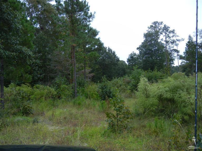 885 Village Point Road Southwest Shallotte, NC 28470 - Photo 18 of 18 Additional Photo