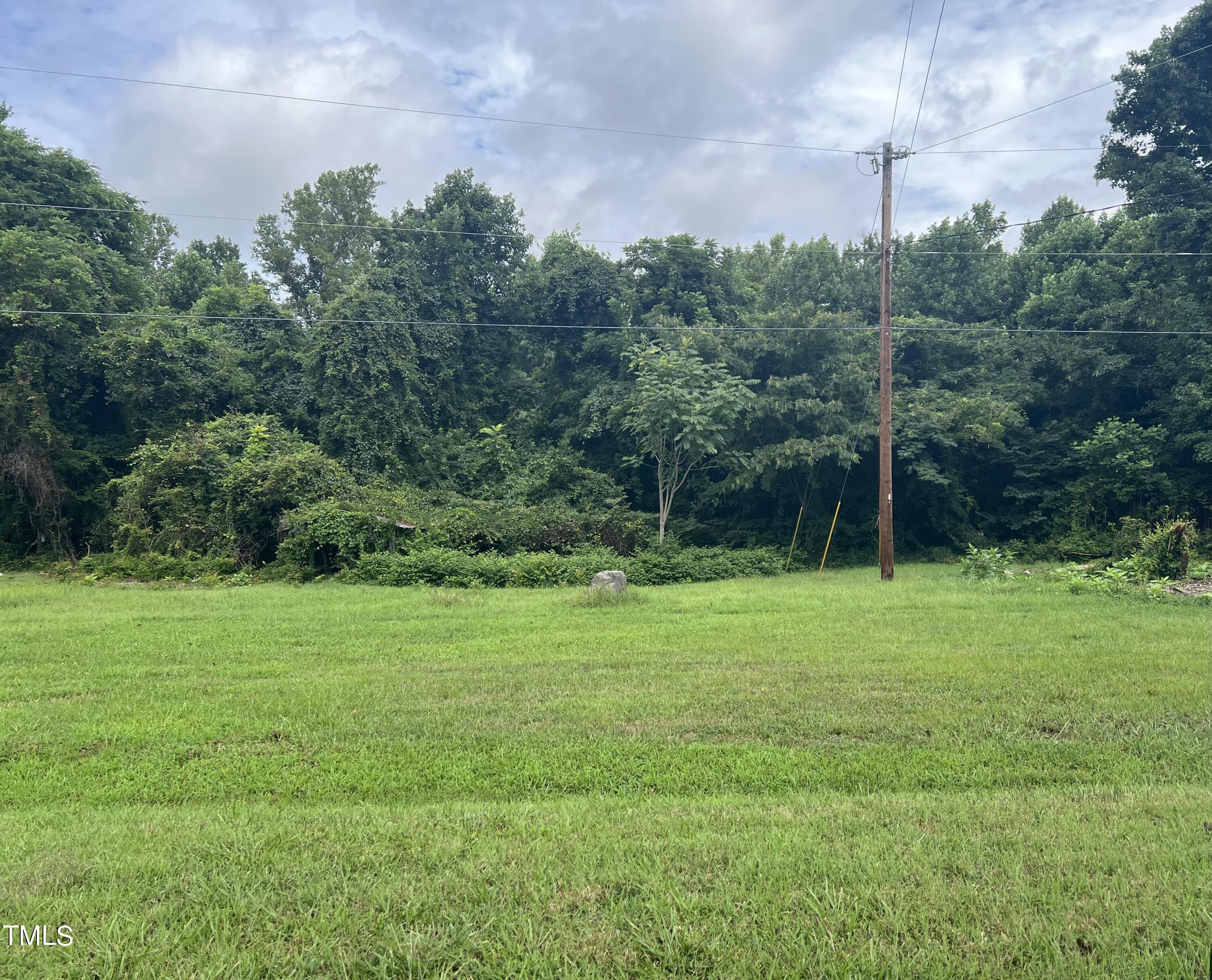 7177 Tickle Road Gibsonville, NC 27249 - Photo 2 of 2 IMG_5793