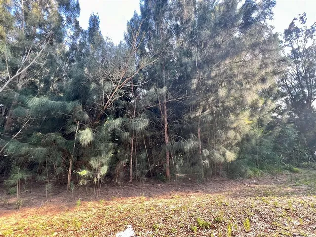 a view of a yard with a tree