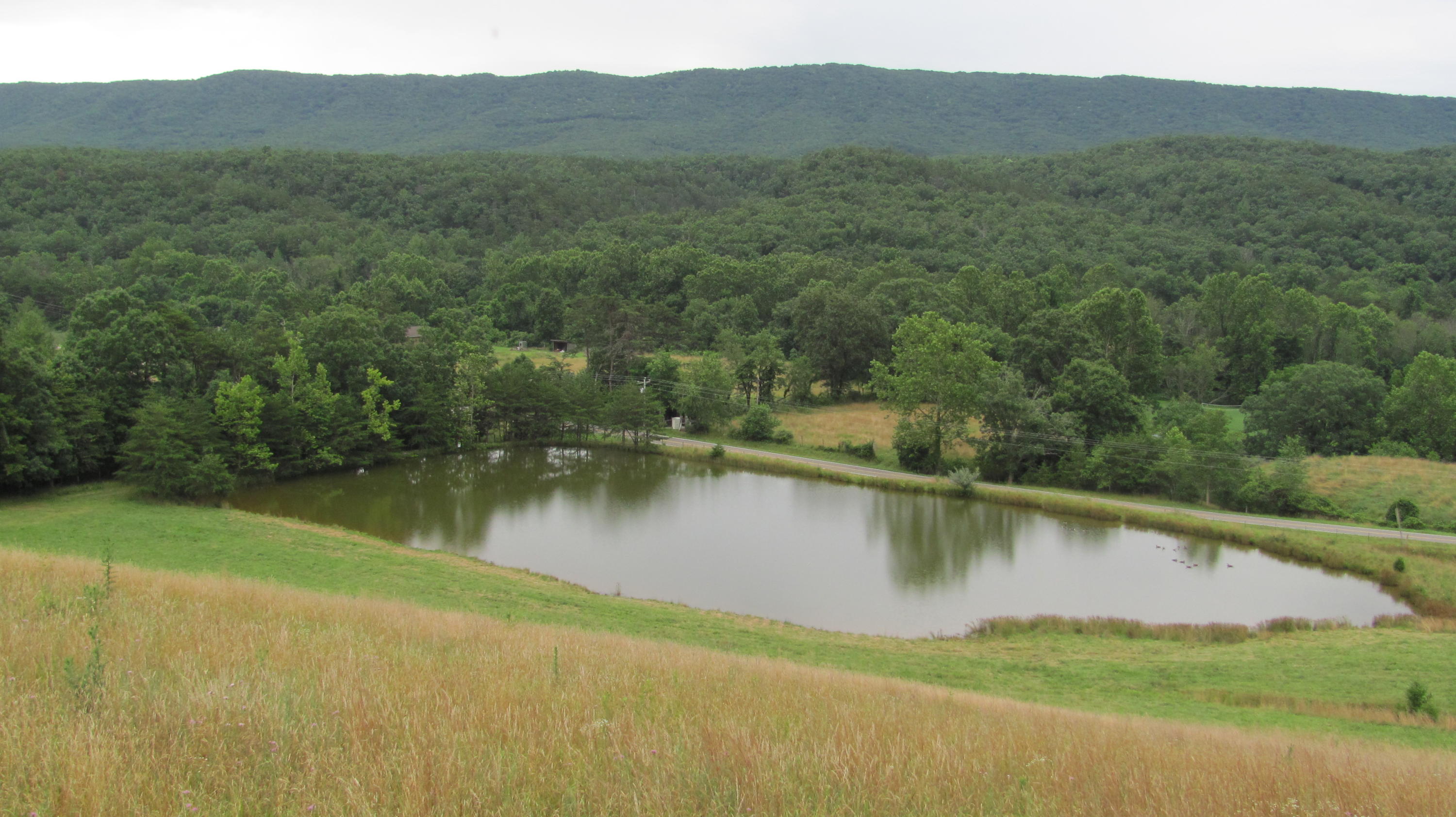 4974 Paint Bank Road New Castle, VA 24127 - Photo 1 of 14 Southern Building Site Overlooking Pond