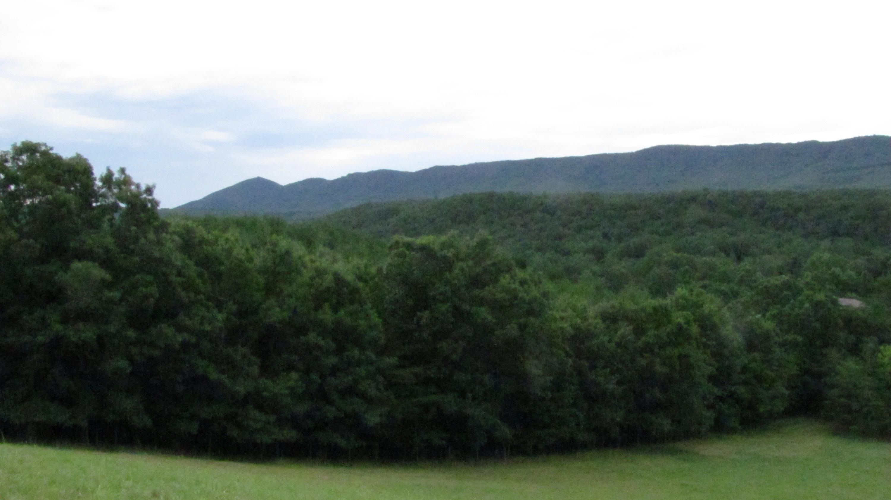 4974 Paint Bank Road New Castle, VA 24127 - Photo 2 of 14 Another Building Site w/View to East