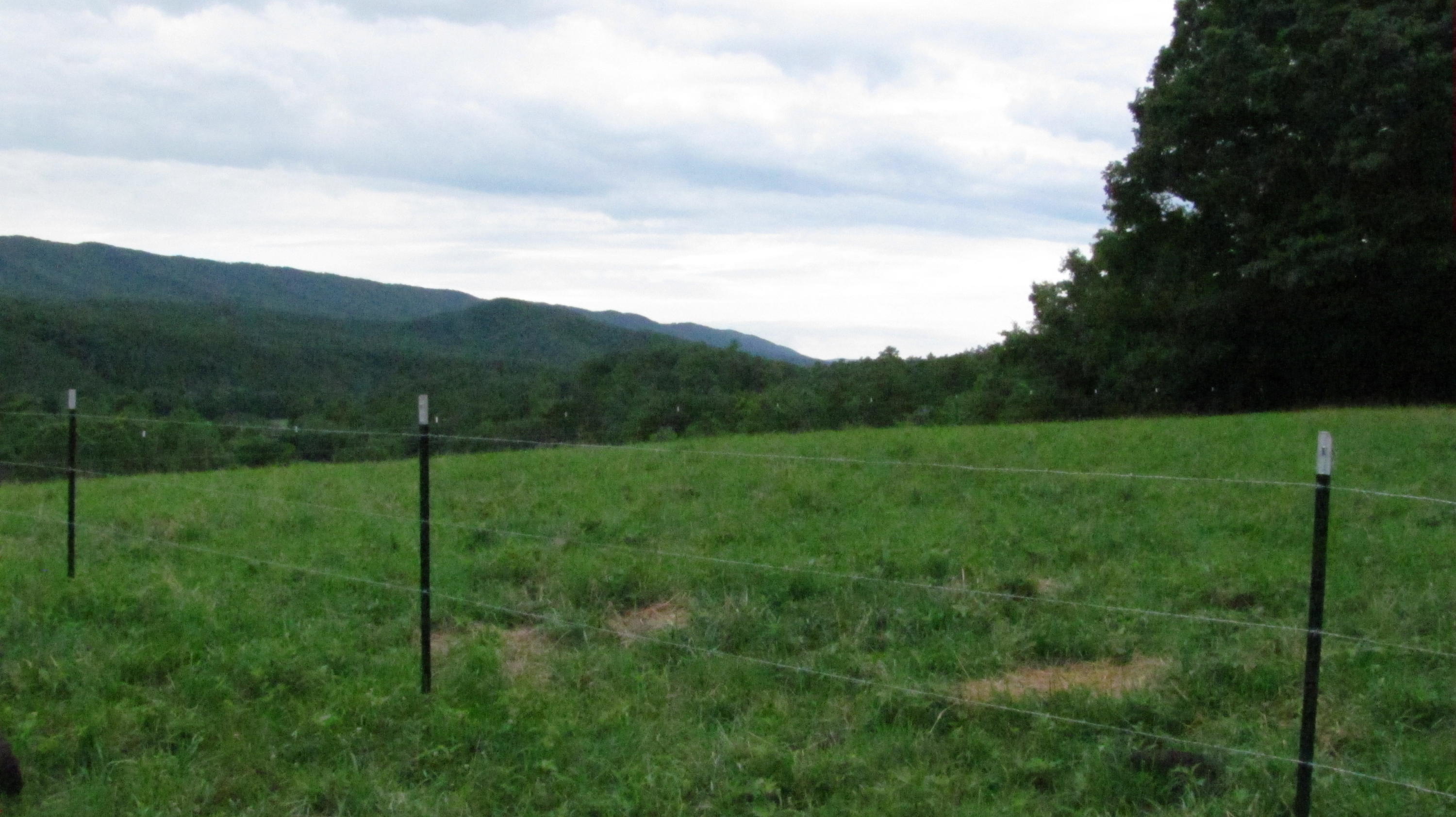 4974 Paint Bank Road New Castle, VA 24127 - Photo 3 of 14 Building Site w/View to East