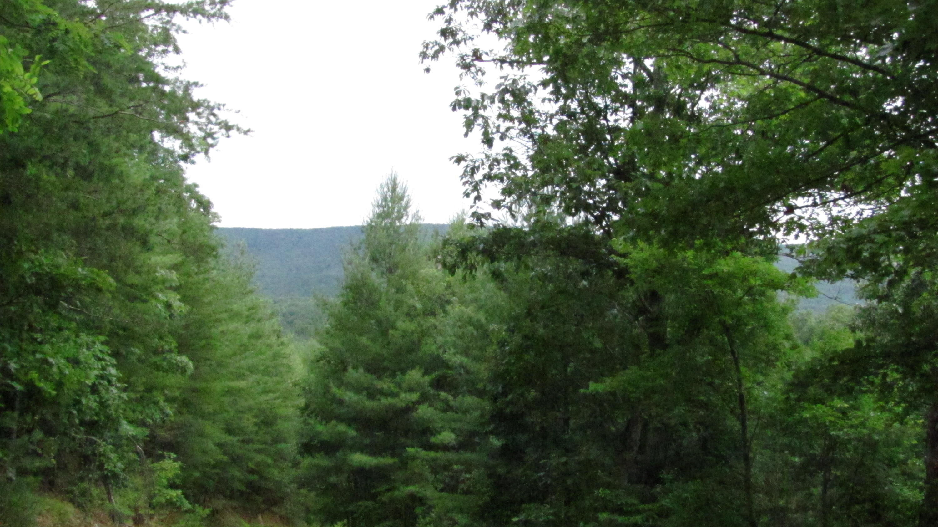 4974 Paint Bank Road New Castle, VA 24127 - Photo 4 of 14 Nrthern Building Site