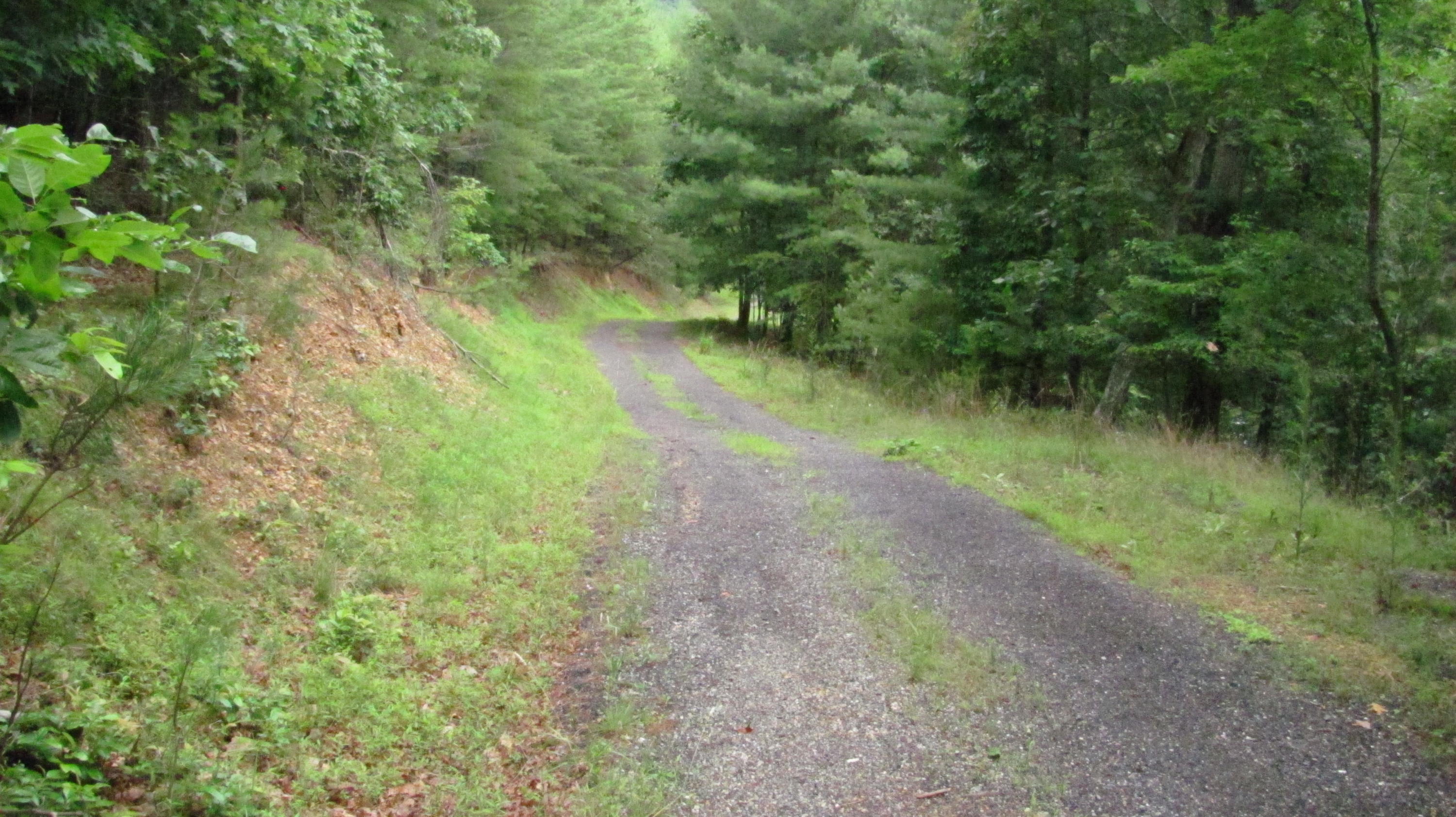 4974 Paint Bank Road New Castle, VA 24127 - Photo 7 of 14 Interior Road